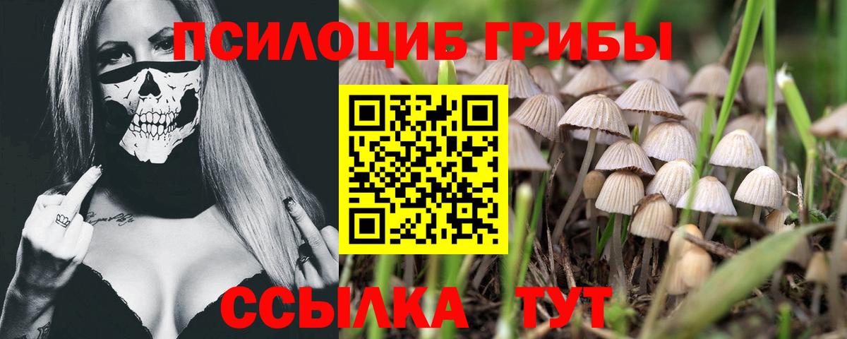 Большой Камень  ГАШИШ  МАРИХУАНА  COCAIN  Каннабис  Мефедрон   Вход с VPN  Гашиш 